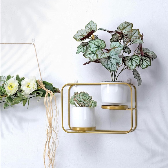 Wall Planters Modern Design Wall Plant Holder - Picture 2 of 7